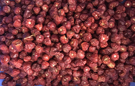 好料