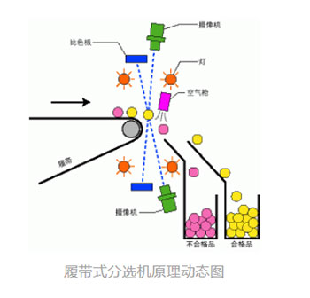首页-BB贝博艾弗森公司官网