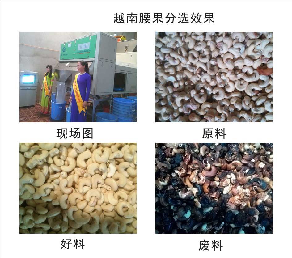 图片关键词