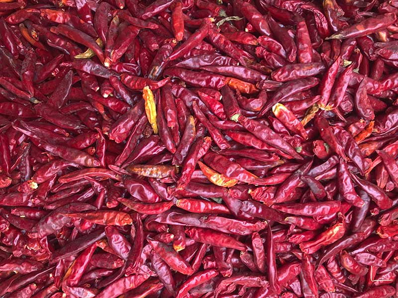 山东金乡-辣椒-李-3028处，原料.jpg