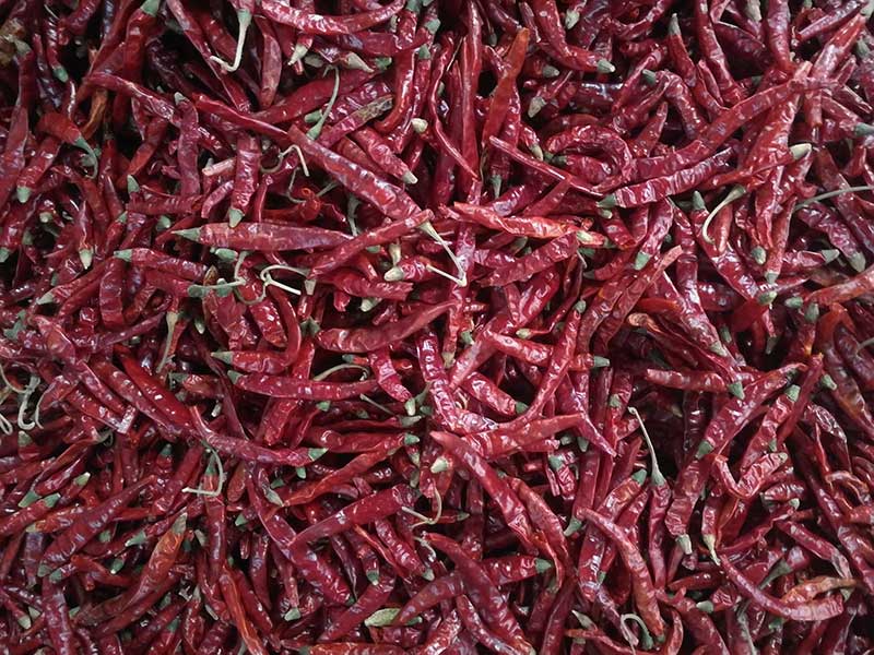 印度-辣椒-Sharma-5041处，辣椒选把，原料.jpg