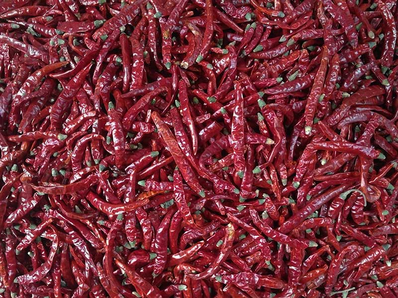 印度-辣椒-Sharma-5041处，辣椒选把，好料.jpg