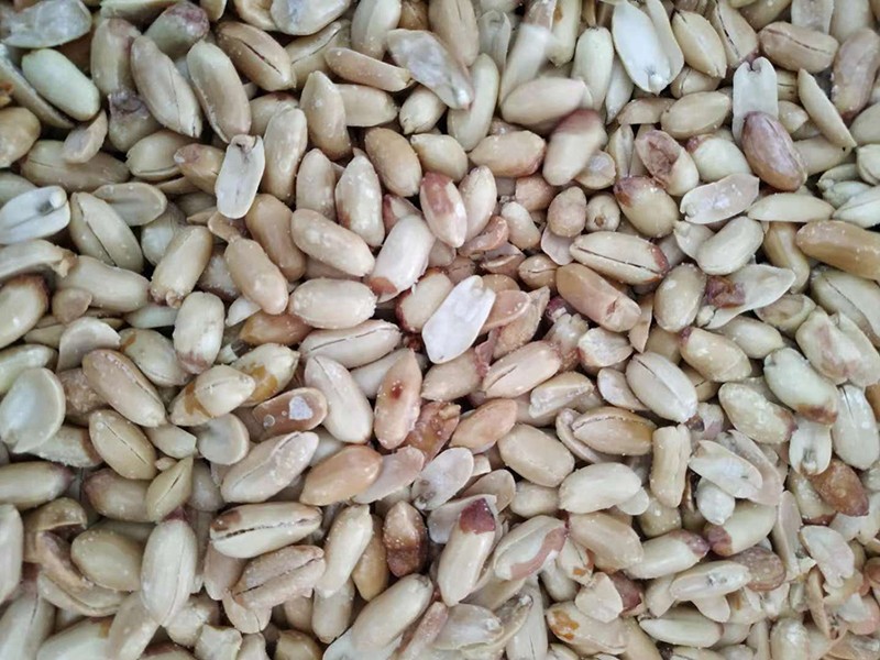 油炸花生米原料.jpg
